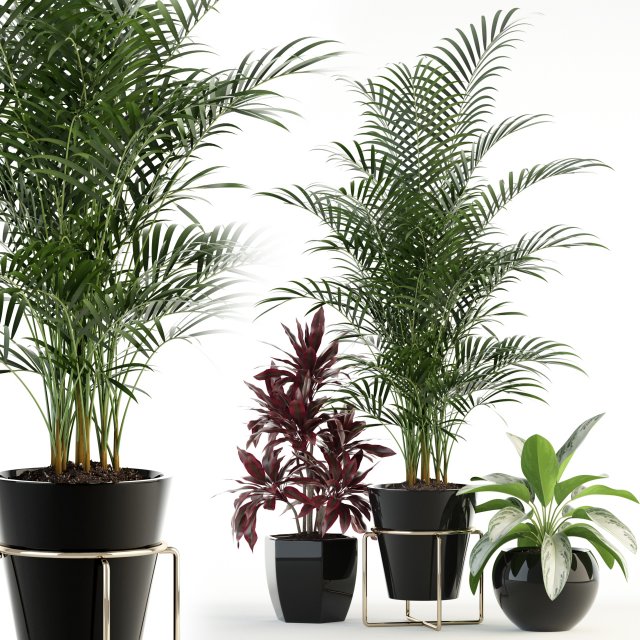 plants collection 89 Modello 3D .c4d .max .obj .3ds .fbx .stl .blend 