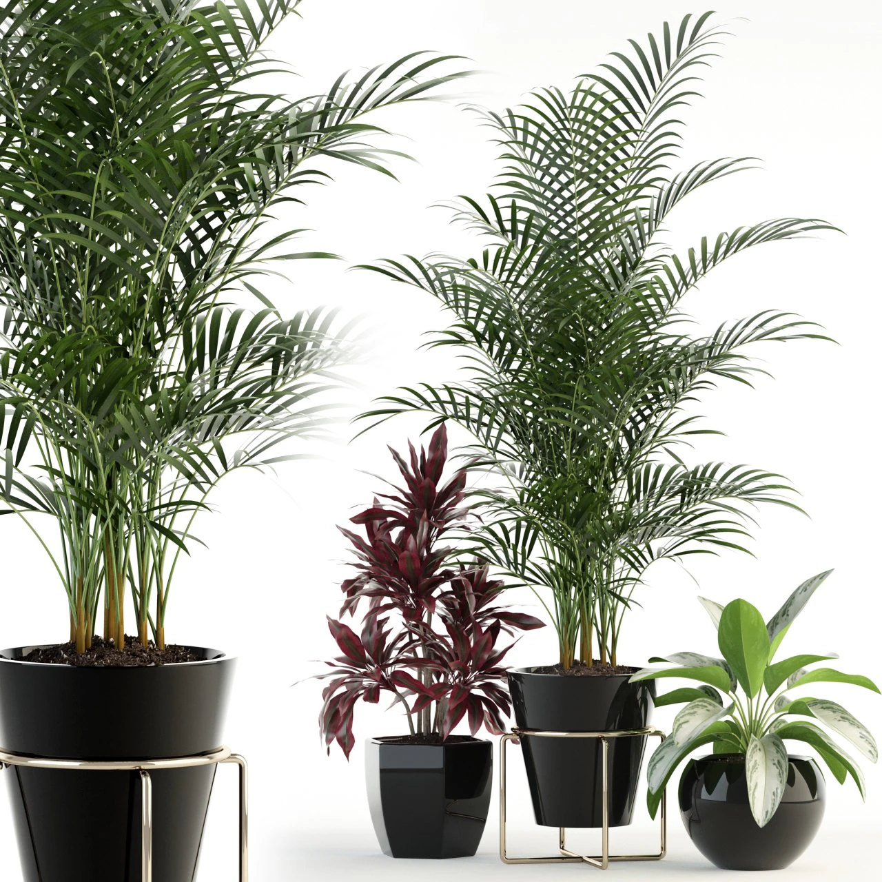 plants collection 89 3D Model .c4d .max .obj .3ds .fbx .stl .blend 