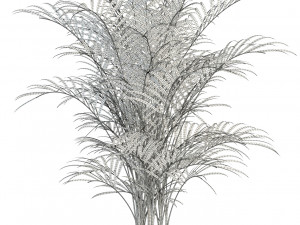 plants collection 89 Modello 3D