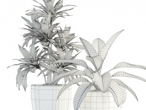plants collection 89 Modello 3D