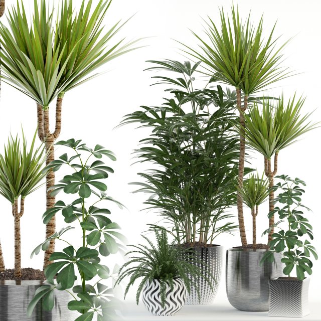 plants collection 90 Modèle 3D .c4d .max .obj .3ds .fbx .stl .blend 