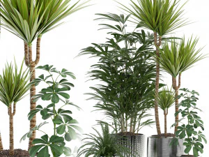 коллекция растений 90 3D Модель