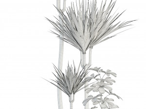 plants collection 90 Modèle 3D