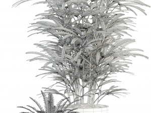 plants collection 90 Modèle 3D