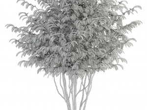 plants collection 91 3D 模型