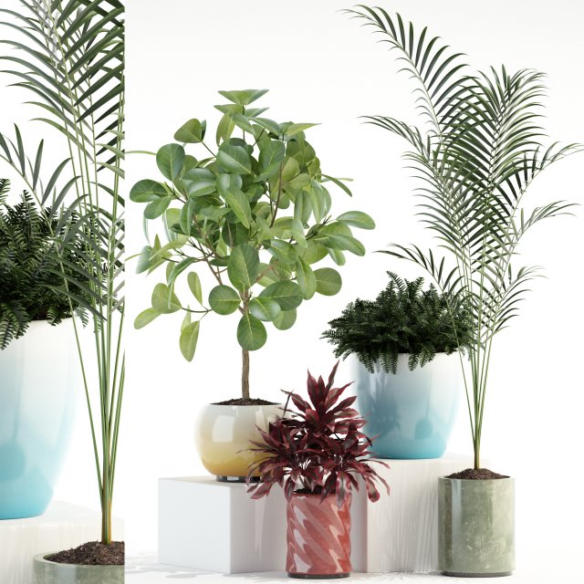 plants collection 92 3D Модель .c4d .max .obj .3ds .fbx .stl .blend 
