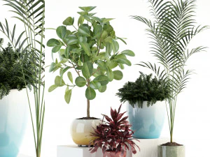 collection de plantes 92 Modèle 3D