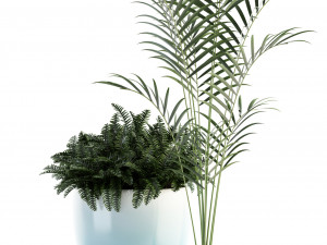 plants collection 92 3D Модель