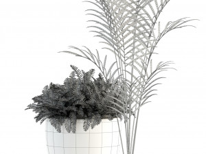 plants collection 92 3D Модель