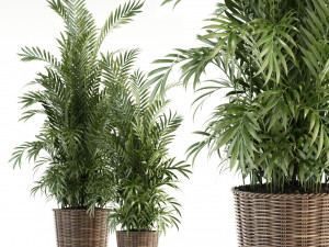 plants collection 93 Modelo 3D