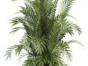 plants collection 93 Modèle 3D