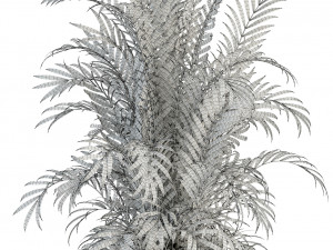 plants collection 93 Modèle 3D
