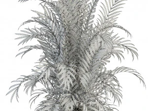 plants collection 93 3D Model