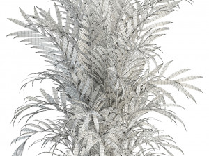 plants collection 93 Modèle 3D