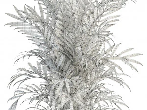 plants collection 93 3D Model