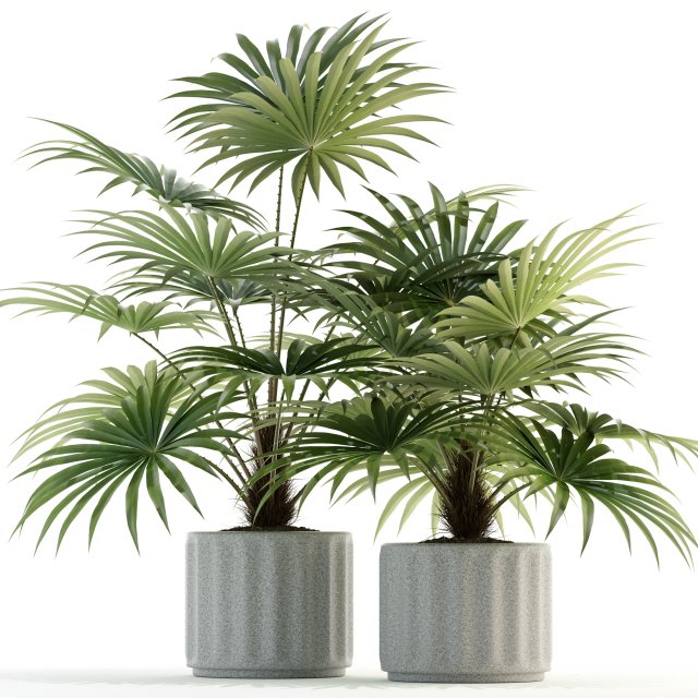 plants collection 94 3Dモデル .c4d .max .obj .3ds .fbx .stl .blend 
