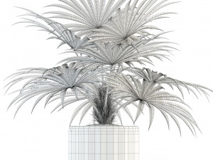 plants collection 94 3Dモデル