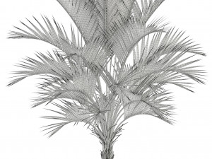 plants collection 95 3D Модель