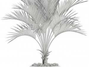 plants collection 95 3D Модель
