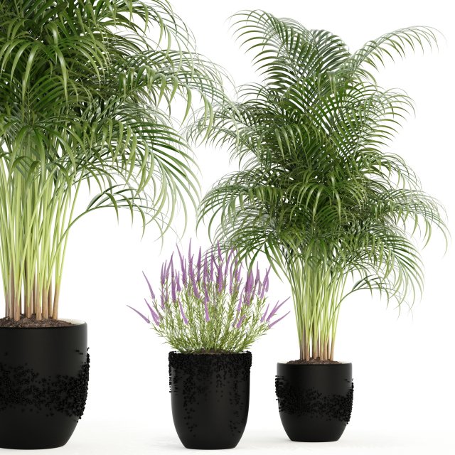 plants collection 97 3D Model .c4d .max .obj .3ds .fbx .stl .blend 