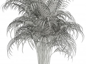 plants collection 97 3D Model