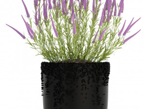 plants collection 97 3D Model