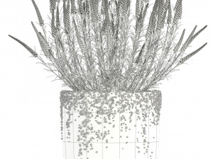 plants collection 97 3D Model