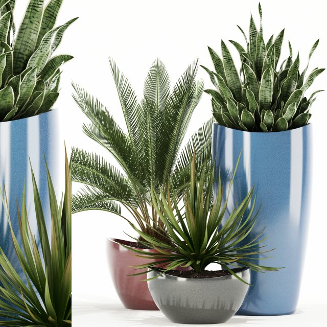 plants collection 99 awesomeplanters 3D Model .c4d .max .obj .3ds .fbx .stl .blend 