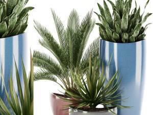 plantencollectie 99 geweldige plantenbakken 3D Model