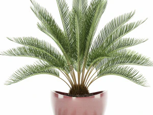 plants collection 99 awesomeplanters 3D Model