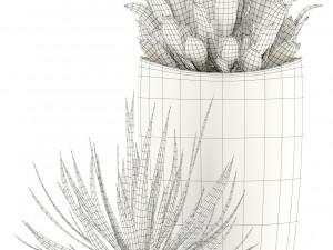 plants collection 99 awesomeplanters 3D Model