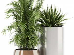 plants collection 100 awesomeplanters 3D Model