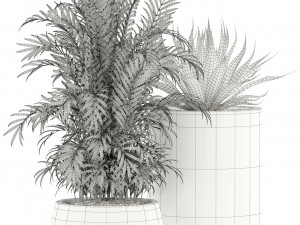 plants collection 100 awesomeplanters Modelo 3D