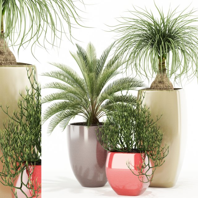 plants collection 101 awesomeplanters 3D Модель .c4d .max .obj .3ds .fbx .stl .blend 