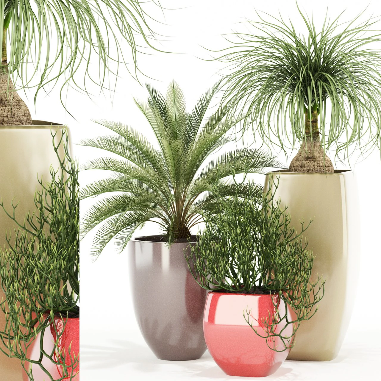 plants collection 101 awesomeplanters 3D Model .c4d .max .obj .3ds .fbx .stl .blend