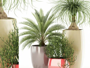 bitki koleksiyonu 101 harika yetiştirici 3D Model