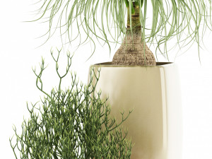 plants collection 101 awesomeplanters 3D Модель
