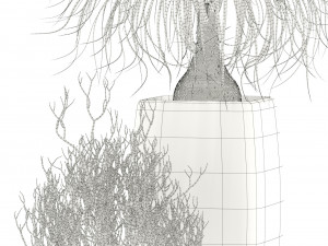 plants collection 101 awesomeplanters 3D Модель