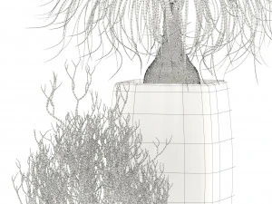 plants collection 101 awesomeplanters 3D Model