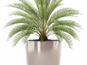 plants collection 101 awesomeplanters 3D Модель