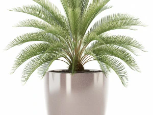 plants collection 101 awesomeplanters 3D Model