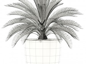 plants collection 101 awesomeplanters 3D Модель
