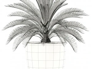 plants collection 101 awesomeplanters 3D Model