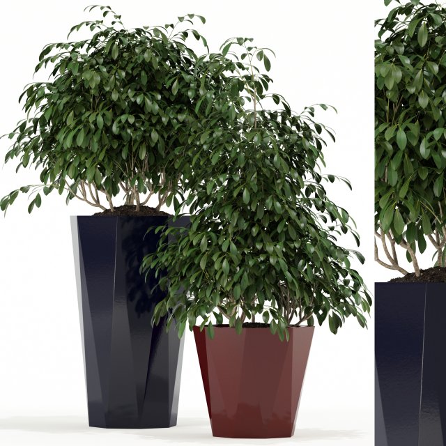 plants collection 102 awesomeplanters 3D Model .c4d .max .obj .3ds .fbx .stl .blend 