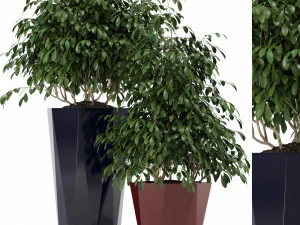 पौधों का संग्रह 102 अद्भुतप्लांटर्स 3D मॉडल