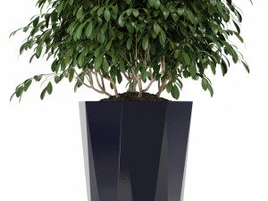 plants collection 102 awesomeplanters 3D Model
