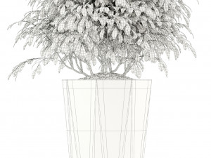 plants collection 102 awesomeplanters 3D Model