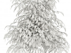 plants collection 102 awesomeplanters 3D Model