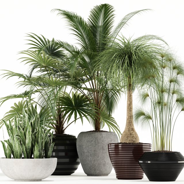 plants collection 103 Modello 3D .c4d .max .obj .3ds .fbx .stl .blend 