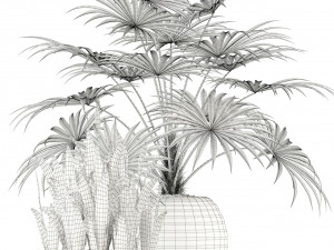 plants collection 103 Modello 3D